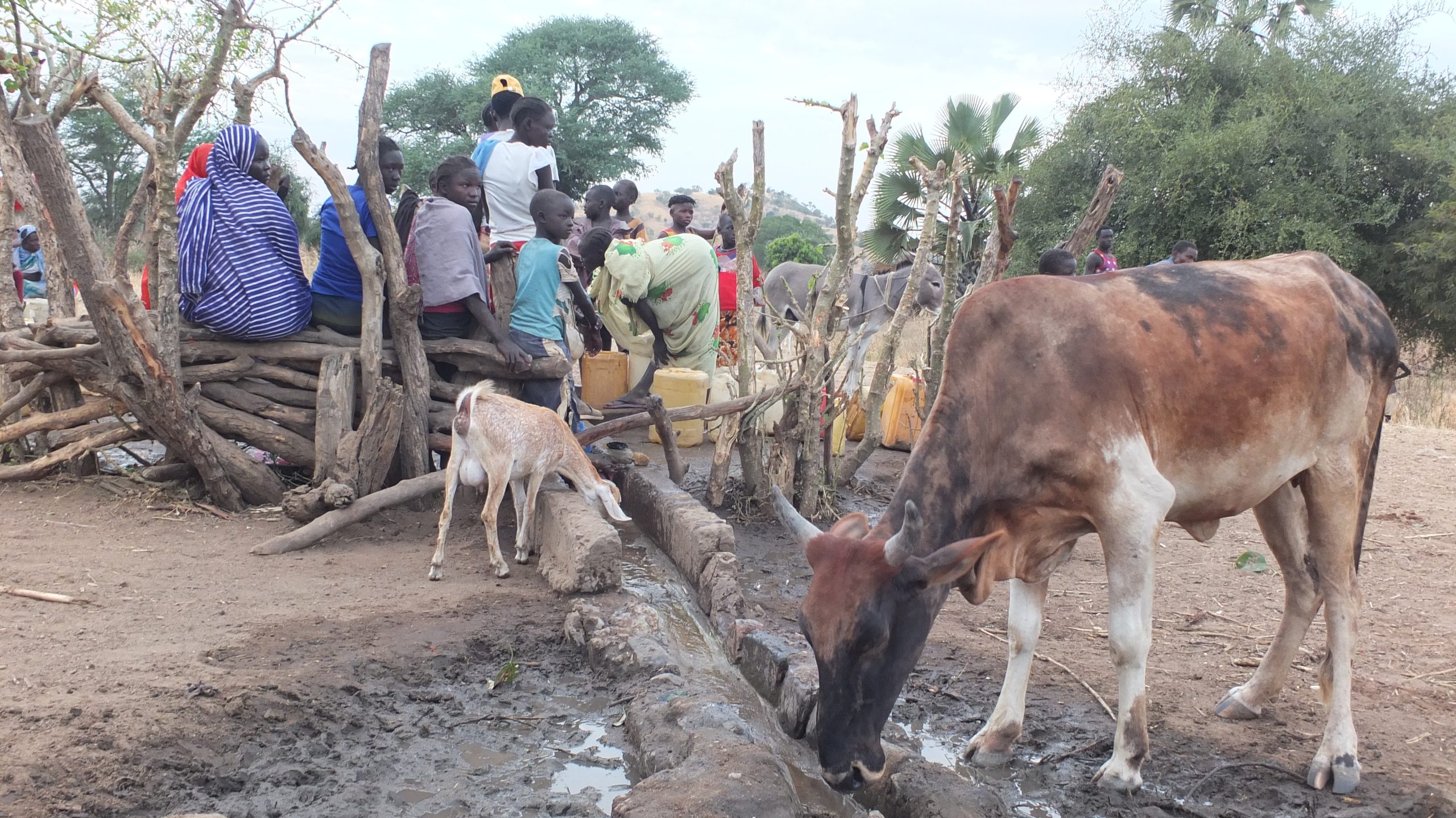 Safe Water Emergency! - Persecution Project